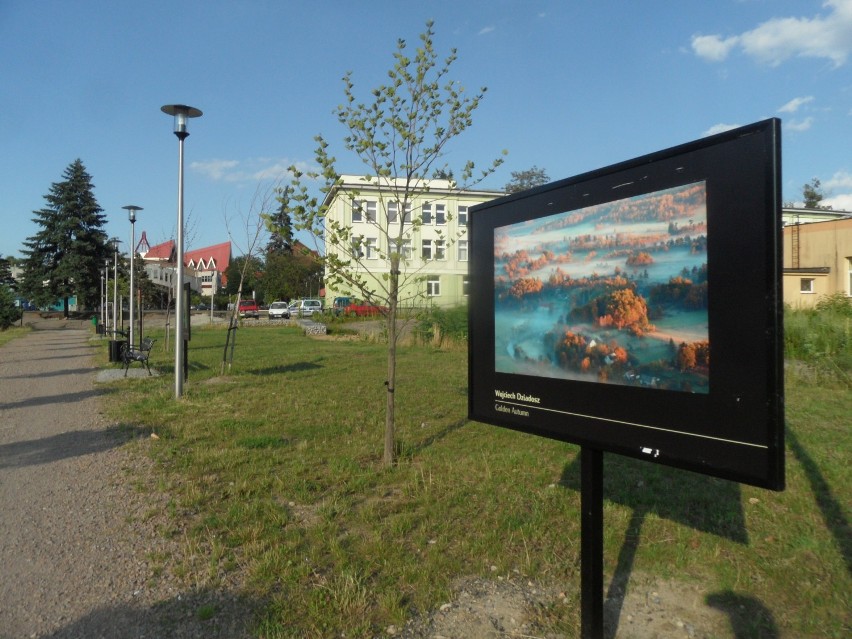 Planty Jaworzno. Wystawa "International Garden Photographer of the Year"