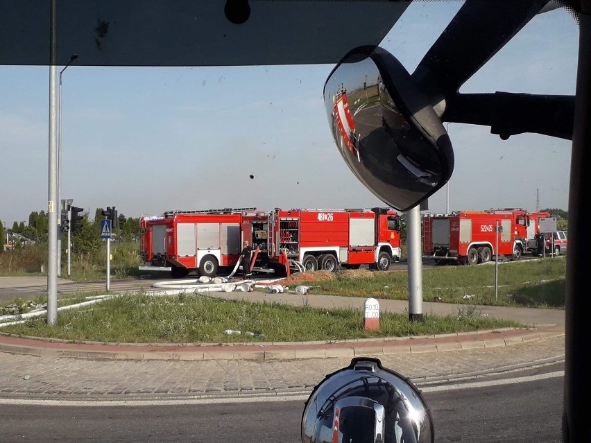 Strażacy z naszego regionu pomagali gasić pożar w Jordanowie Śląskim (ZDJĘCIA)