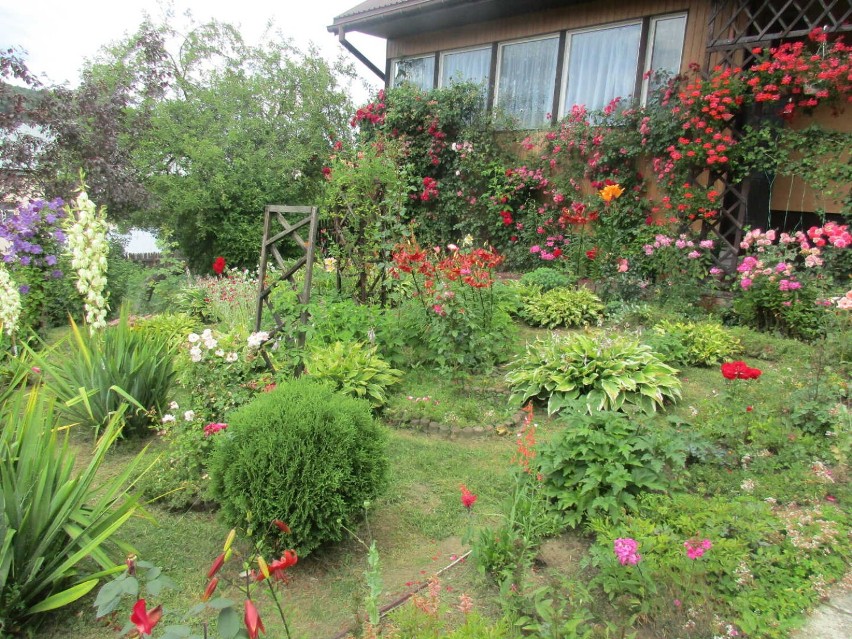 Najpiękniejsze ogrody i balkony w gminie Ustrzyki Dolne. Zobacz, jakie aranżacje  doceniono (ZDJĘCIA)