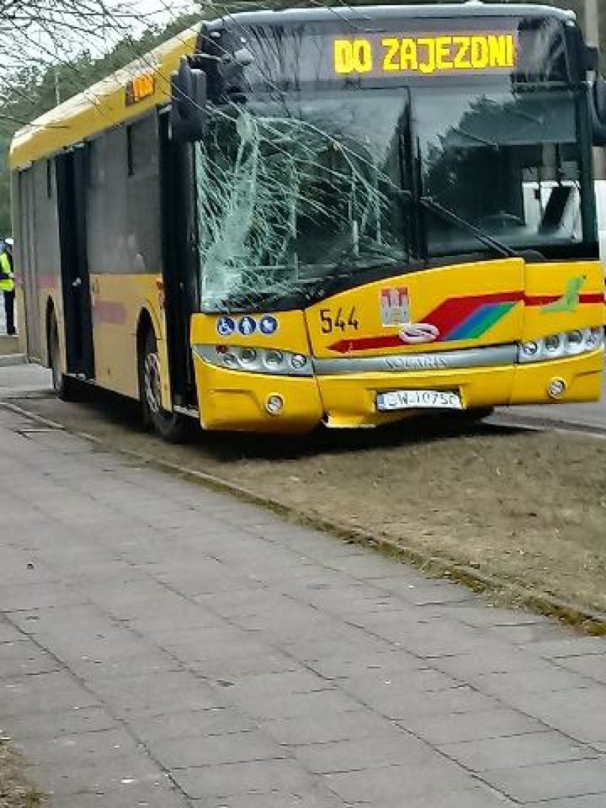 Wypadek z udziałem autobusu MPK na ulicy Wienieckiej we Włocławku. 5-miesięczne dziecko trafiło do szpitala [zdjęcia]