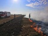 Dym pożaru w okolicach Brudzewa (gmina Puck) widać było z daleka. Paliło się ściernisko (13.08.2019) | ZDJĘCIA, NADMORSKA KRONIKA POLICYJNA