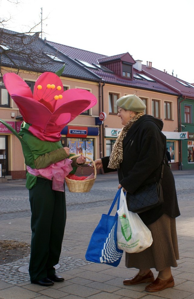 Mieszkanki Kutna, Gostynina i Krośniewic miały szansę spotkać żywego, dwumetrowego tulipana, który częstował słodkościami. Tegoroczna edycja happeningu była w całości mobilna. Pojazd &#8222;mobilus tulipanus&#8221; podróżował po ulicach miast zachęcając kobiety do wspólnej zabawy. 

Pomysły kutnowskiej firmy dopisały jak zawsze, a ogromny tulipan przypominał nie tylko o święcie kobiet, ale też o nadchodzącej wiośnie. 

Źródło: Party Projekt