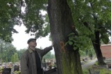 Wycinka drzew w Mysłowicach: Na cmentarzach oznaczono ponad 160 drzew. Mieszkańcy oburzeni [ZDJĘCIA]