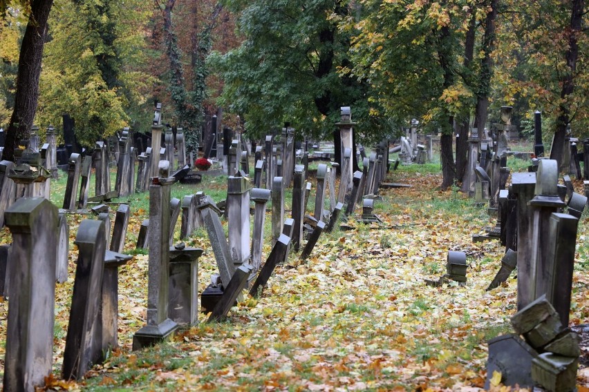 W Legnicy jest aż siedem cmentarzy! Wszystkie zamknięte. Oto one