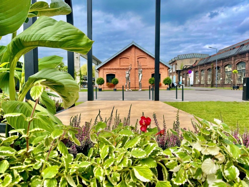 Zobacz kolejne zdjęcia/plansze. Przesuwaj zdjęcia w prawo -...