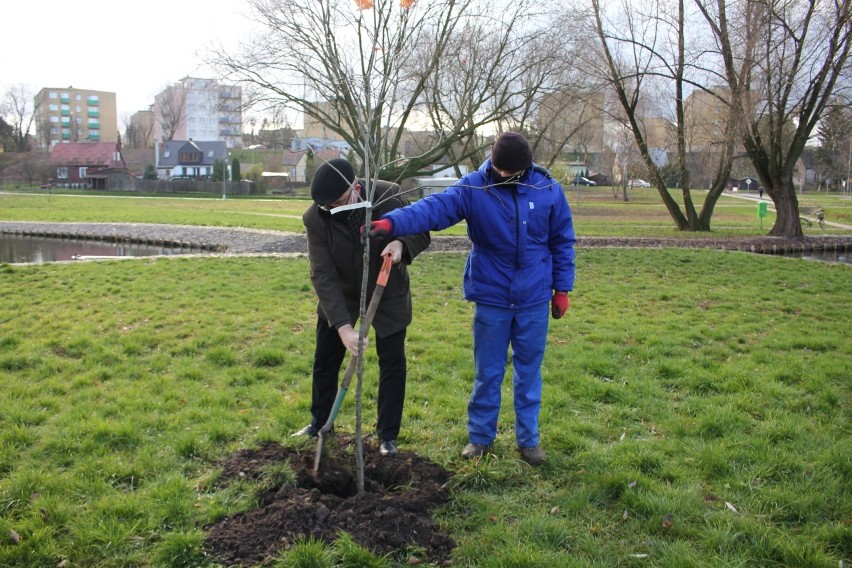 Grajewo. Park Solidarności pięknieje w oczach. Zobacz, jak się zmieniał [zdjęcia]