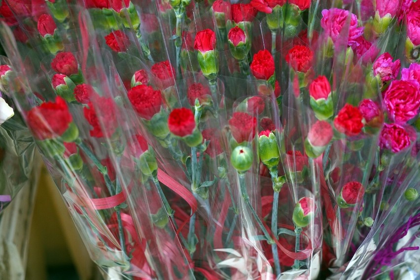 Sprawdź, ile kosztują kwiaty na targowisku w Olkuszu