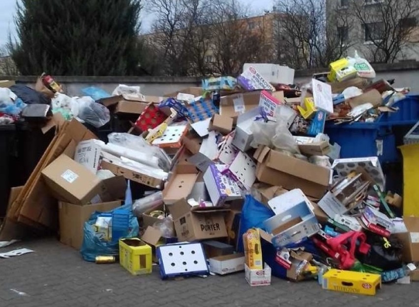 Przepełnione śmietniki na Winogradach. Czemu nikt ich nie opróżnia?