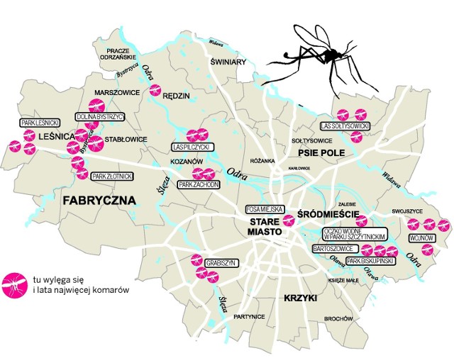 W tych miejscach istnieje największe prawdopodobieństwo występowania komarów.