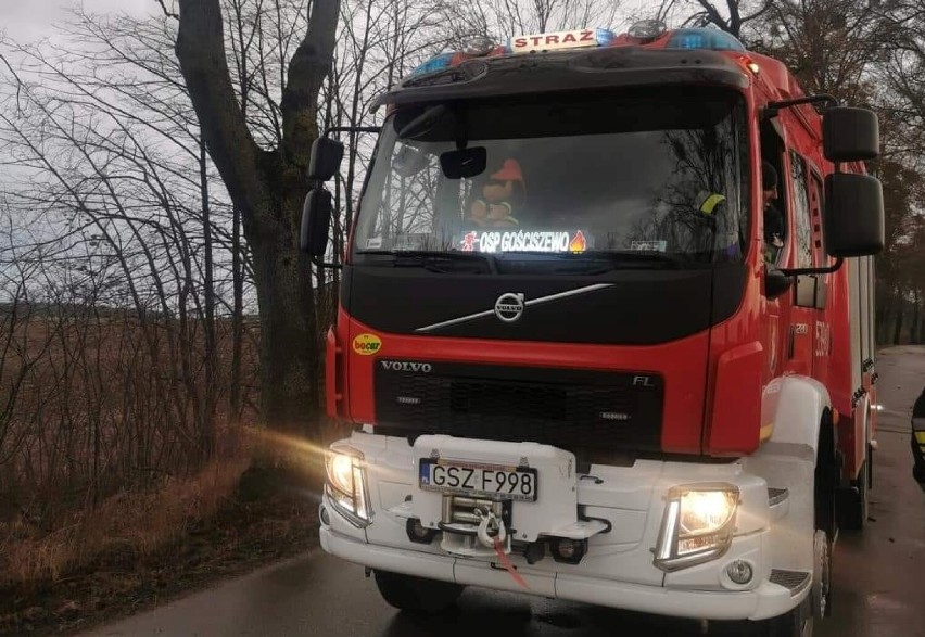 OSP w Gościszewie. Strażacy usuwali z dróg powalone drzewa
