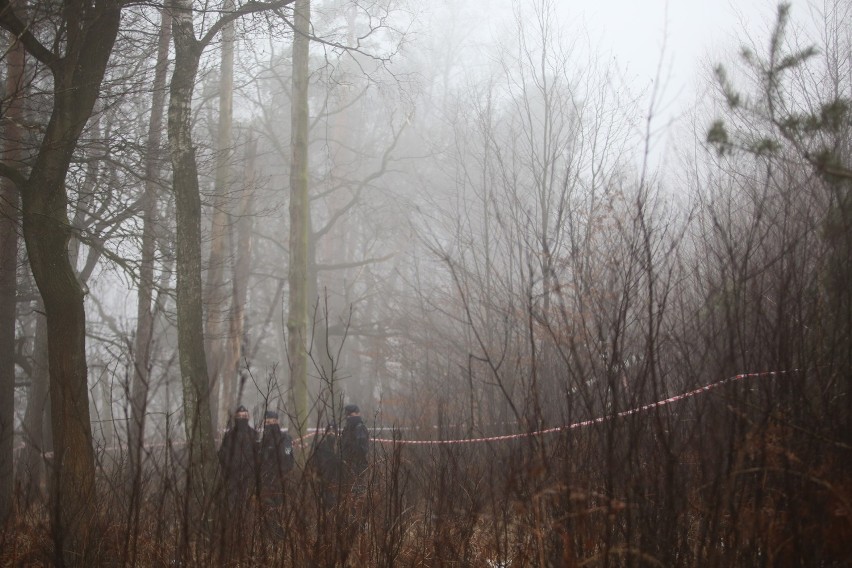 Miejsce katastrofy helikoptera pod Pszczyną, woj. śląskie....