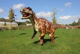 Wrocławski Park Dinozaurów znów otwarty. Sprawdź godziny otwarcia i ceny biletów (ZDJĘCIA)