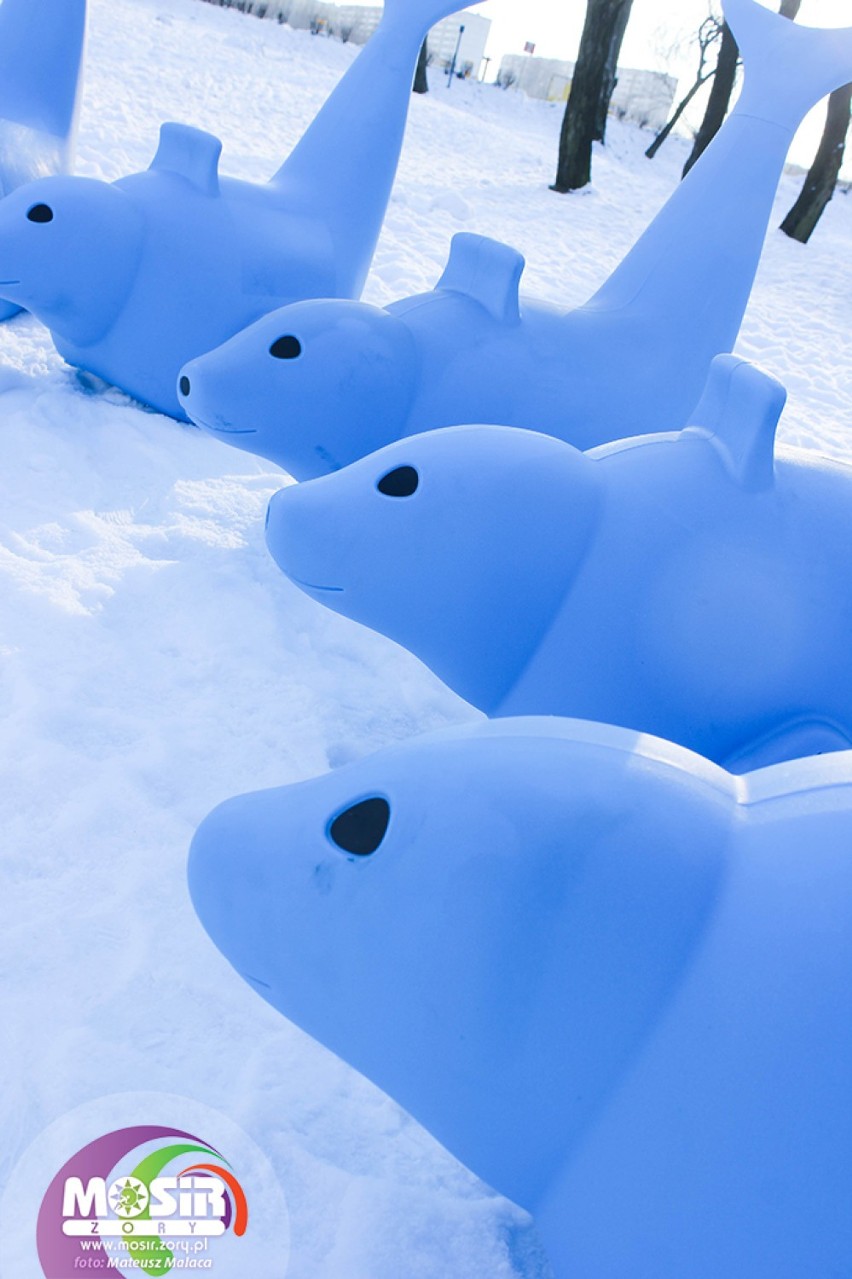Foczki na lodowisku Żory: Podobają się Wam?