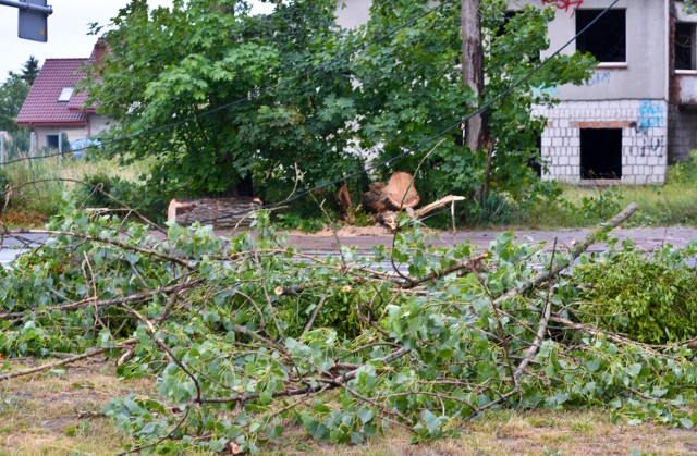 Przy ul. Łyskowskiego przewracające się drzewo zerwało linię energetyczną i zablokowało drogę. Skutki silnego wiatru usuwali strażacy