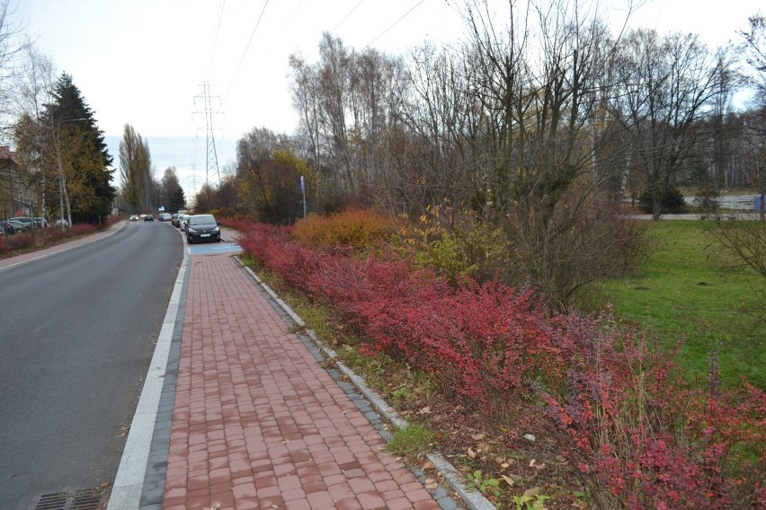 Park im. Lotników Polskich na Osiedlu Stałym w Jaworznie