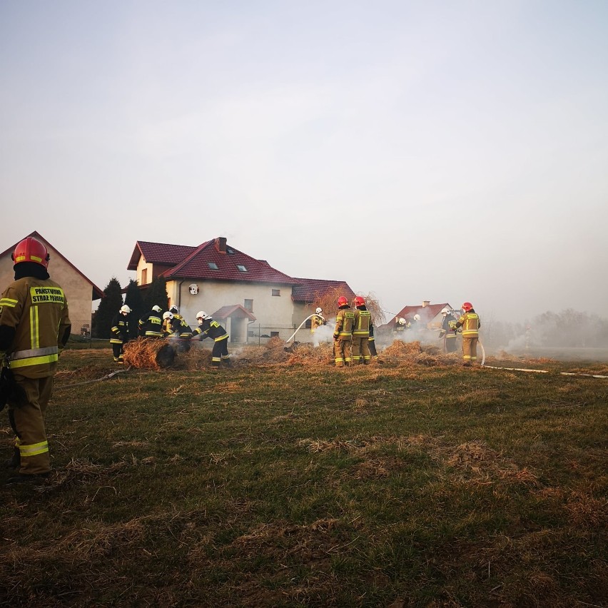 Pożar gasiło siedem jednostek straży pożarnej, w tym OSP...