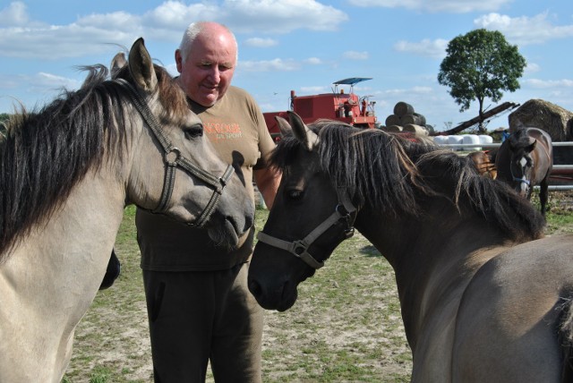 Krzysztof Lipka jest miłośnikiem koni od dzieciństwa
