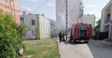 Pożar w mieszkaniu przy ul. Osiedlowej w Aleksandrowie Kujawskim. Jedna osoba trafiła do szpitala [zdjęcia]