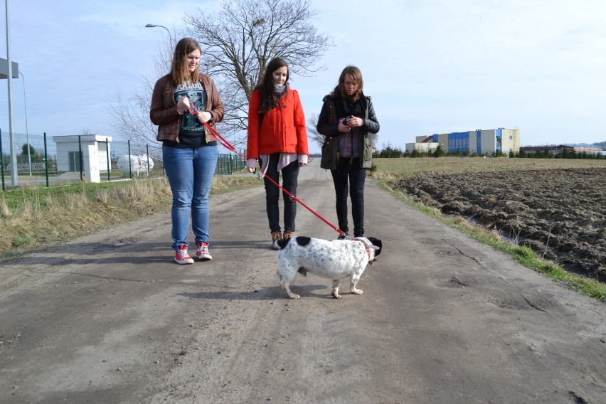 Blogerzy zebrali karmę i koce  dla Schroniska Promyk