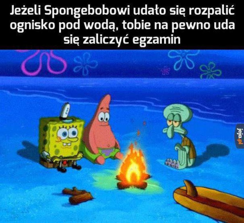 Najlepsze memy o sesji poprawkowej!  Internauci są bezlitośni. Studenci przygotowują się do poprawek [MEMY]