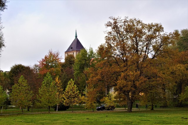 Sławieński park w jesiennych barwach to idealne miejsce na spacery