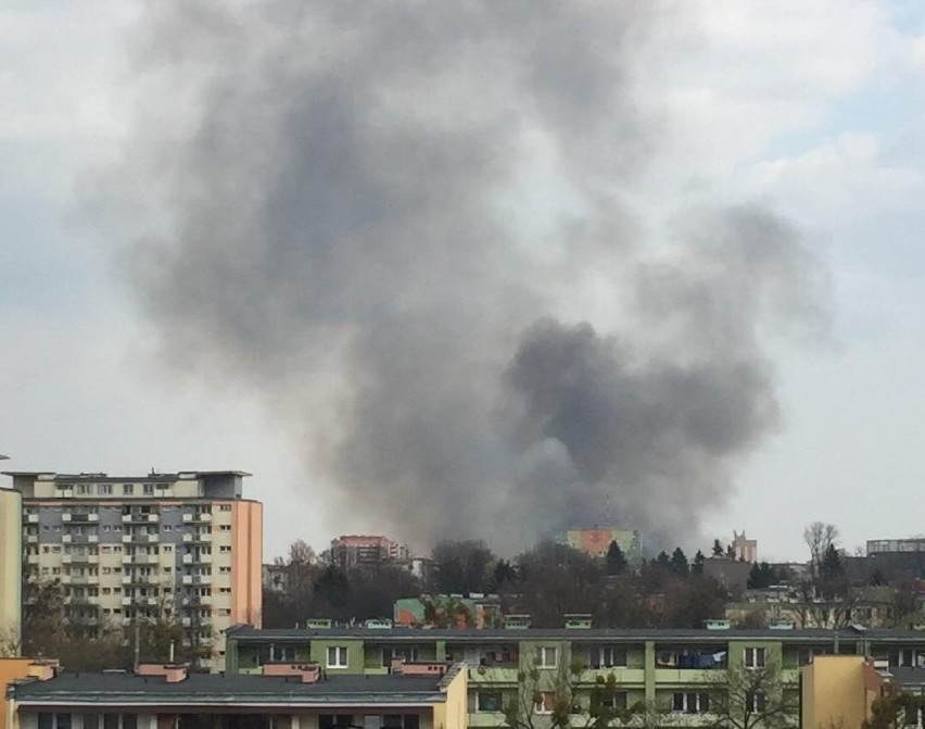 Słup dymu nad Radomiem. W okolicach ulicy Chorzowskiej paliły się łąki. Tylko w niedzielę kilkadziesiąt pożarów traw w Radomiu i powiecie