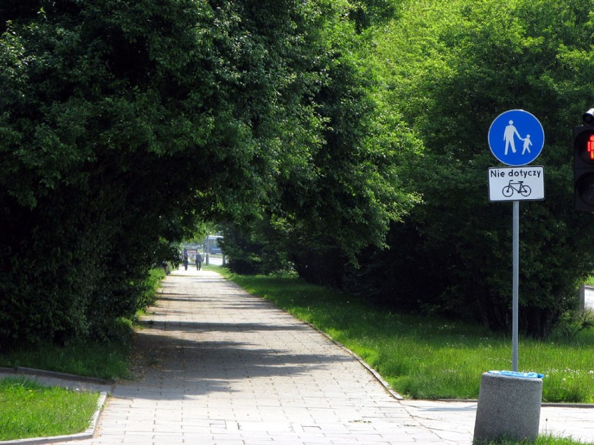 Chodnik przeznaczony również dla rowerów wzdłuż Witosa