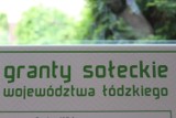 Granty sołeckie z Urzędu Marszałkowskiego. Kto je otrzymał w powiecie zduńskowolskim? ZDJĘCIA