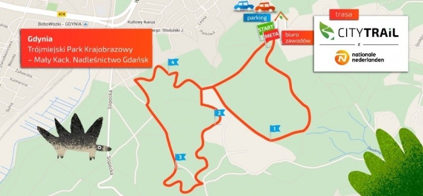 Trasa biegu City Trail w Gdyni