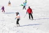 Będzie stok dla narciarzy w Gdańsku? Na Oruni albo w Brętowie