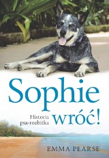 Premiera: Sophie, wróć! Historia psa-rozbitka. Kup książkę i pomóż stołecznemu schronisku Na Paluchu
