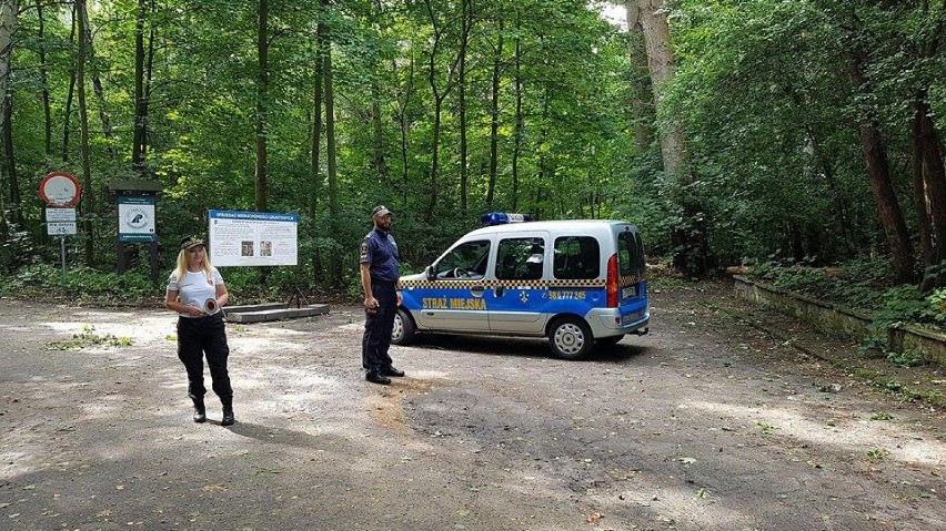 Sierpniowa burza w powiecie puckim: Hel