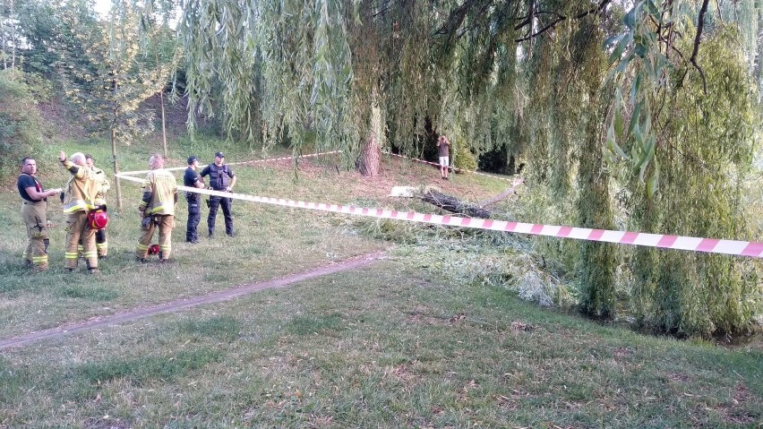 Park Przyjaźni w Kaliszu. Konar drzewa spadł na trzy osoby