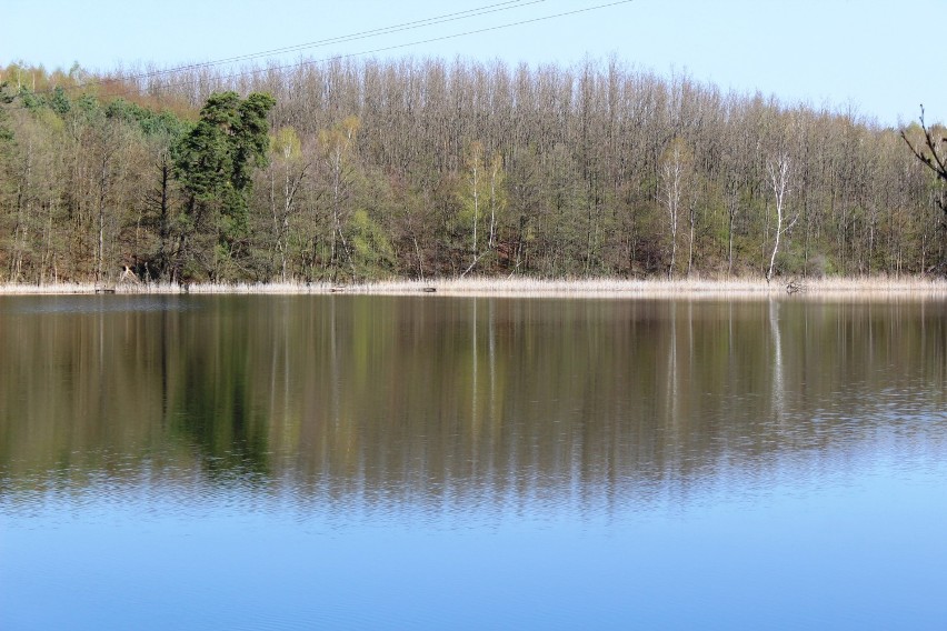 Jezioro w Kęszycy Leśnej.