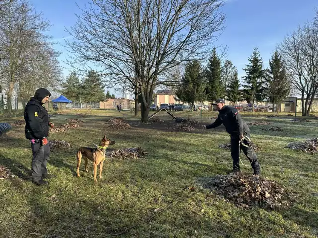 Instruktorzy sprawdzają predyspozycje psów do pracy w więziennictwie