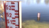 Warta w Gorzowie znów wysoka. Rzeka już kolejny raz w ostatnich trzech miesiącach osiągnęła stan alarmowy. 