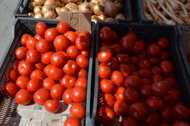 Pomidory kupimy po 5 zł/kg.
