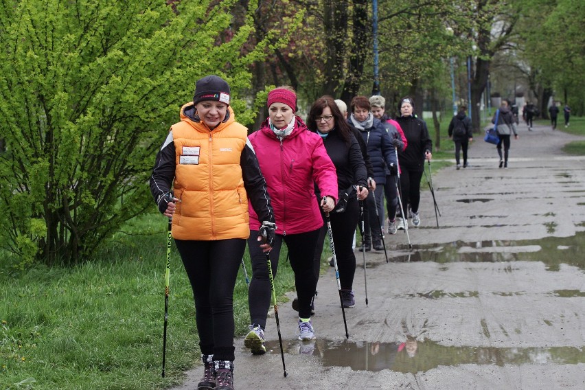 Chodzę, bo lubię Nordic Walking w Legnicy