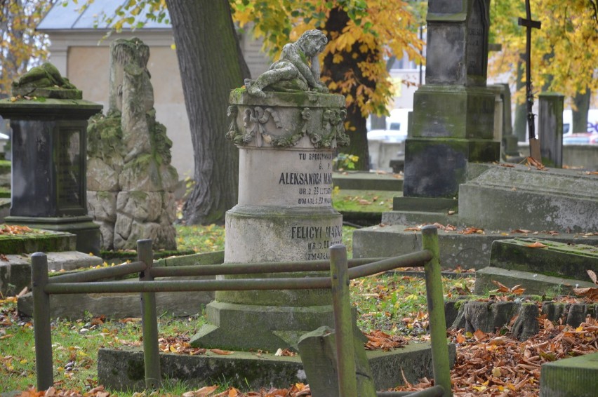 Cmentarz Św. Rocha w Skierniewicach. Tutaj zabytkowe groby dekoruje natura [ZDJĘCIA]
