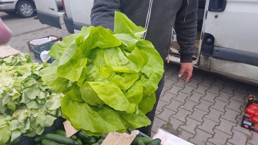 Spory ruch na targu w Opatowie w środę 19 kwietnia. Największe zainteresowanie na rynku warzywnym. Sprawdź ceny