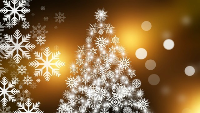 Najlepsze życzenia na Boże Narodzenie dla wszystkich Czytelników przekazali za naszym pośrednictwem samorządowcy z powiatu tomaszowskiego i właściciele firm z regionu