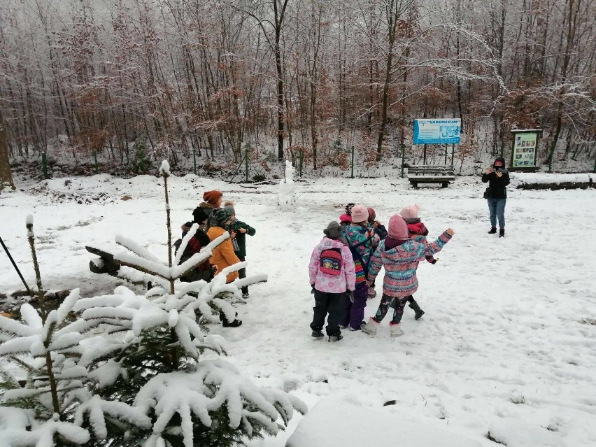  "Kaszebsko Stegna" - tak została nazwana gra - 15 zadań ukrytych na terenie kościerskiej Strzelnicy [ZDJĘCIA]