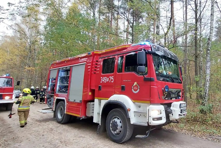 Pożar samochodu osobowego w lesie między Kłudzicami a Łazami Dąbrowa ZDJĘCIA