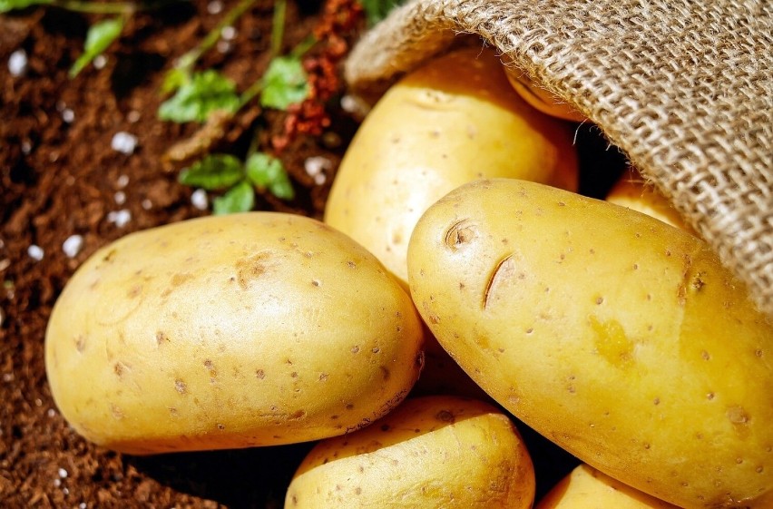 Osoby z kamieniami nerkowymi: Niektóre odmiany ziemniaków są...
