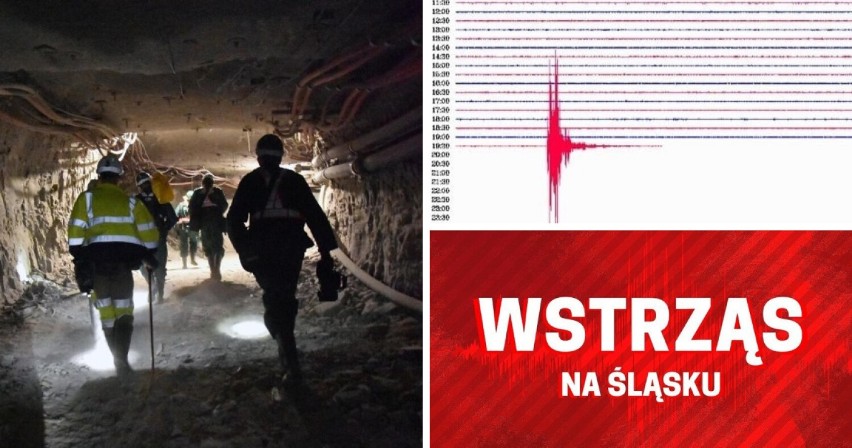 Zobacz więcej informacji o wstrząsie >>>