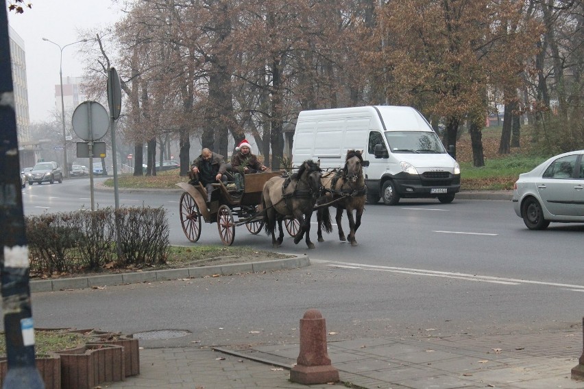 Mikołajkowy korowód w Głogowie [Zdjęcia]