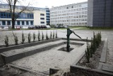 Kraków. Kuriozalna studnia - utopiona w betonie. Uczelnia wyjaśnia [ZDJĘCIA]