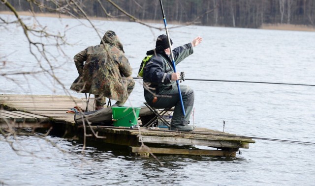 W całym 2023 roku będziemy mogli łowić amatorsko ryby nadal za 250 złotych. Jednak tak zwana Opłata Krajowa, czyli uprawniająca do wędkowania na większej liczbie łowisk, kosztować będzie 350 złotych.

- 250 złotych to opłata na cały rok za amatorskie łowienie w ramach programu „Nasze Łowiska” na terenie wszystkich obwodów rybackich w całej Polsce. Oznacza to, że z tym właśnie, opłaconym pozwoleniem, można łowić w jakimkolwiek z 94 naszych obwodów rybackich i w dwóch specjalnych. Chcemy, aby w przyszłym roku liczba obwodów wzrosła do około 200 – mówi Dionizy Ziemiecki, dyrektor Departamentu Rybactwa Państwowego Gospodarstwa Wodnego „Wody Polskie”. Dodaje, że opłata za łowienie z łodzi wymaga dopłaty 50 zł.