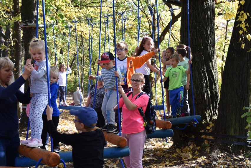 W czeladzkim parku Prochownia jest park linowy. Właśnie został otwarty ZDJĘCIA