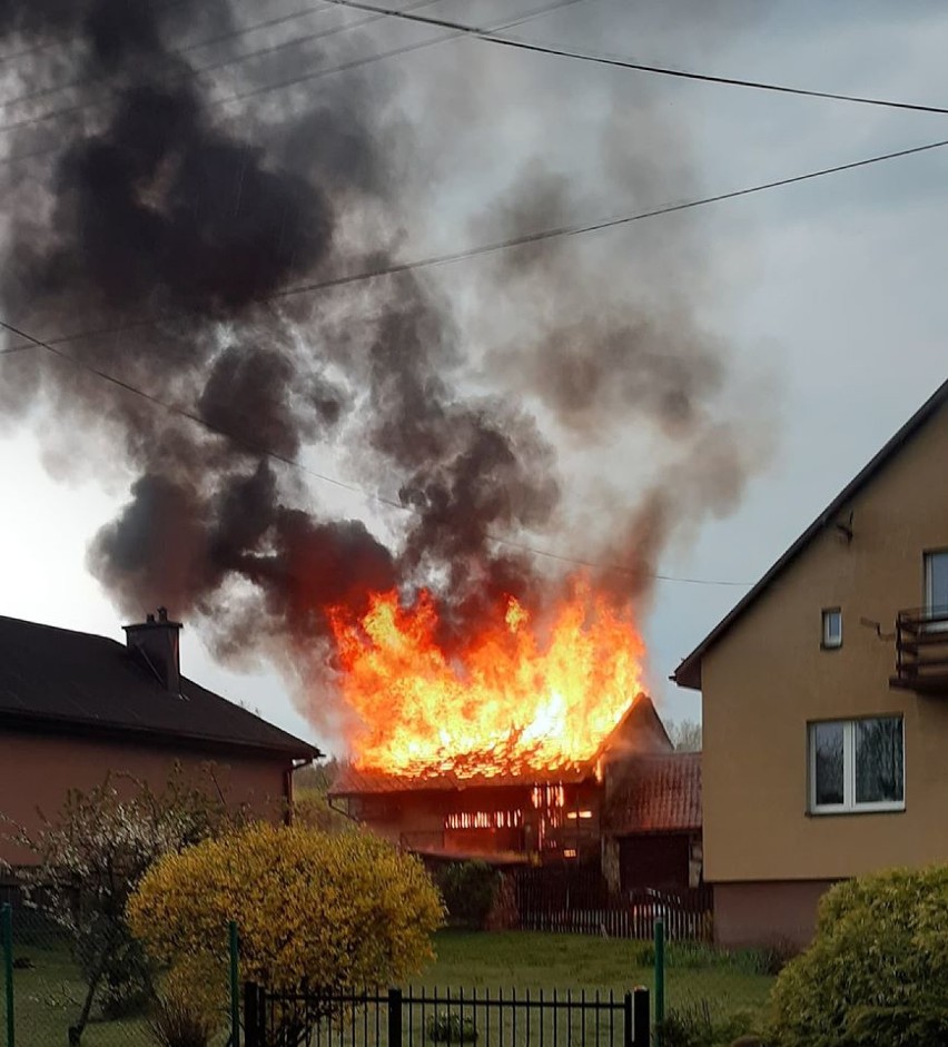 Pożar budynku gospodarczego w Lgocie. Nocna akcja strażaków w Okleśnej [ZDJĘCIA]